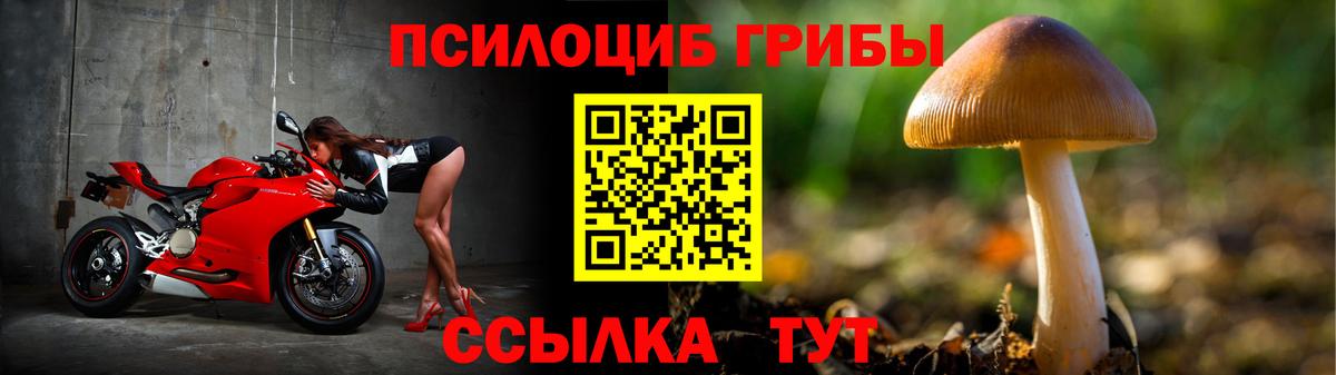 Псилоцибиновые грибы ЛСД  Вход с VPN  Усть-Джегута 